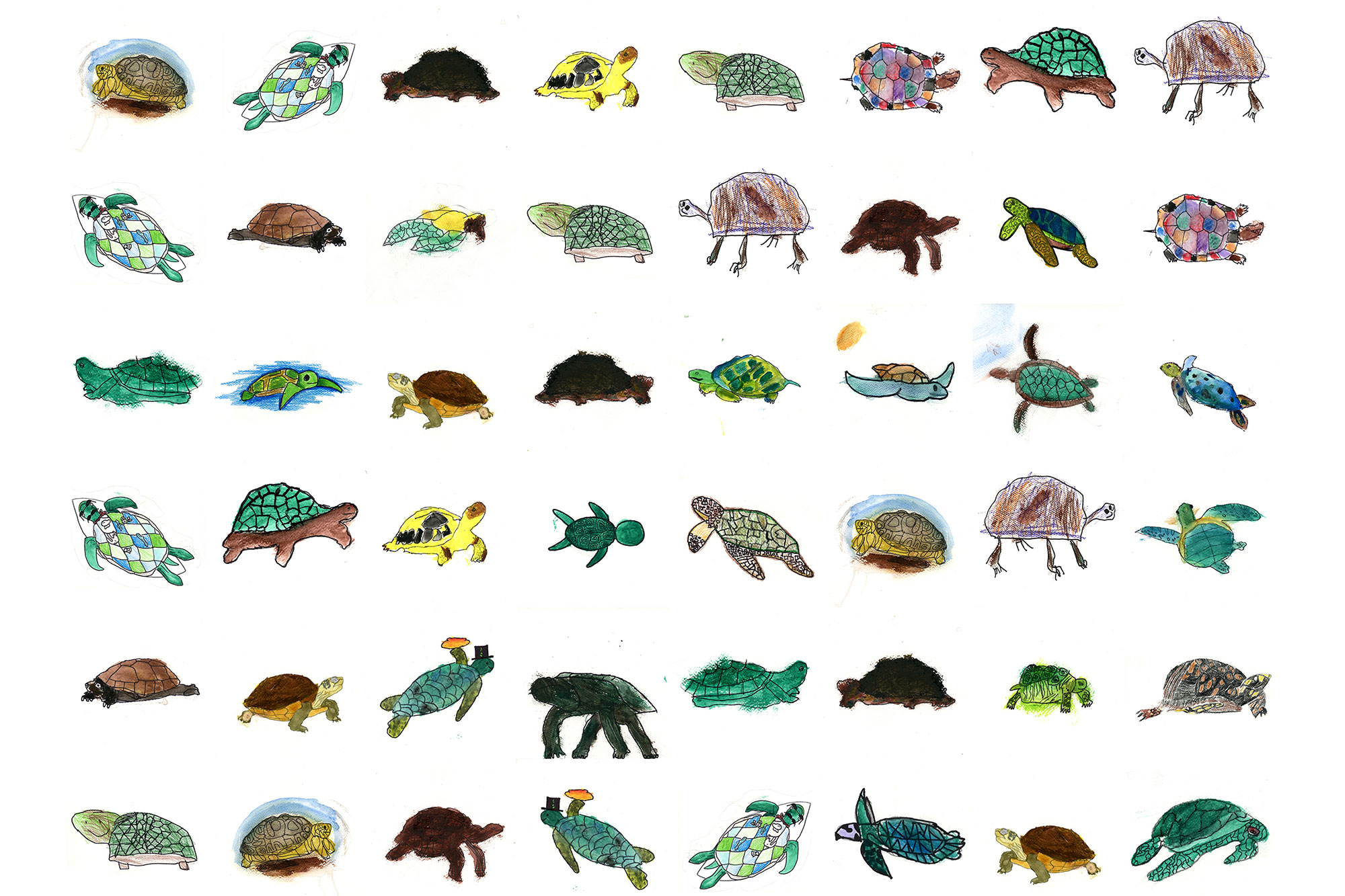 Turtle Encoder